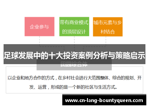 足球发展中的十大投资案例分析与策略启示