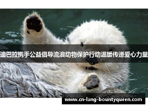 迪巴拉携手公益倡导流浪动物保护行动温暖传递爱心力量