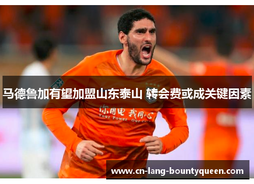 马德鲁加有望加盟山东泰山 转会费或成关键因素